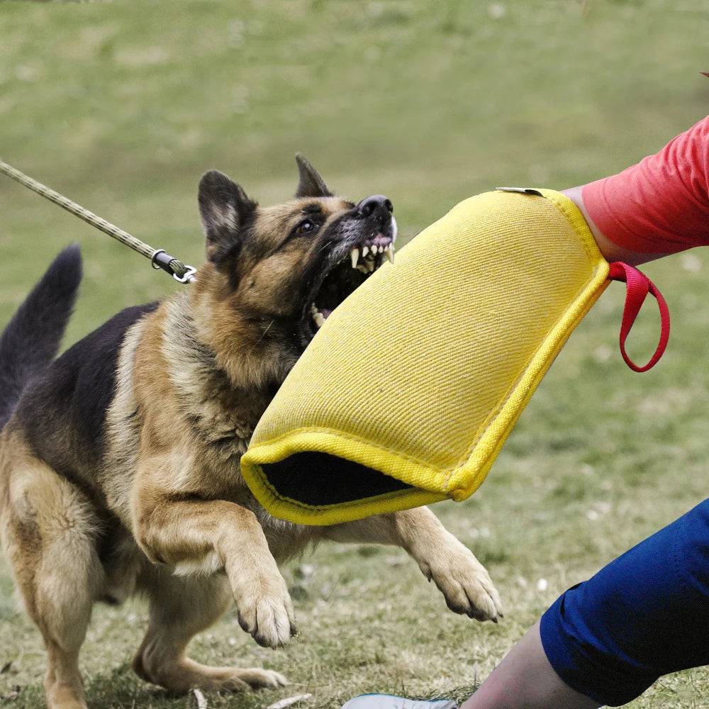 Manchons de morsure d'entraînement pour chien, jouet de traction pour animaux de compagnie, manchon de Protection des bras pour l'entraînement à la morsure de chien